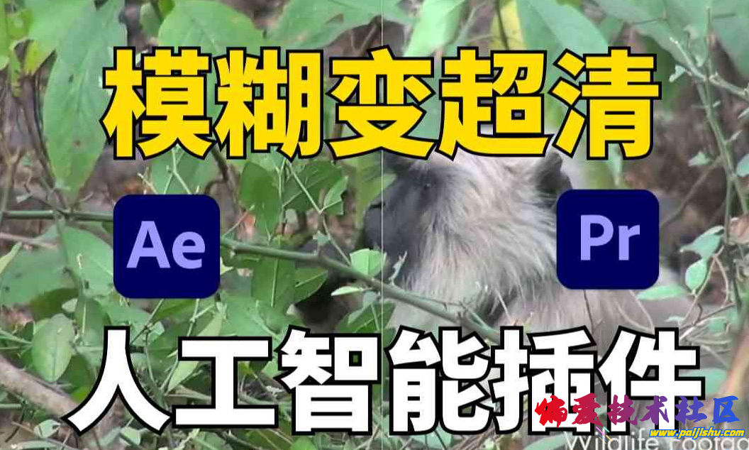 微信截图_20230306230718.png