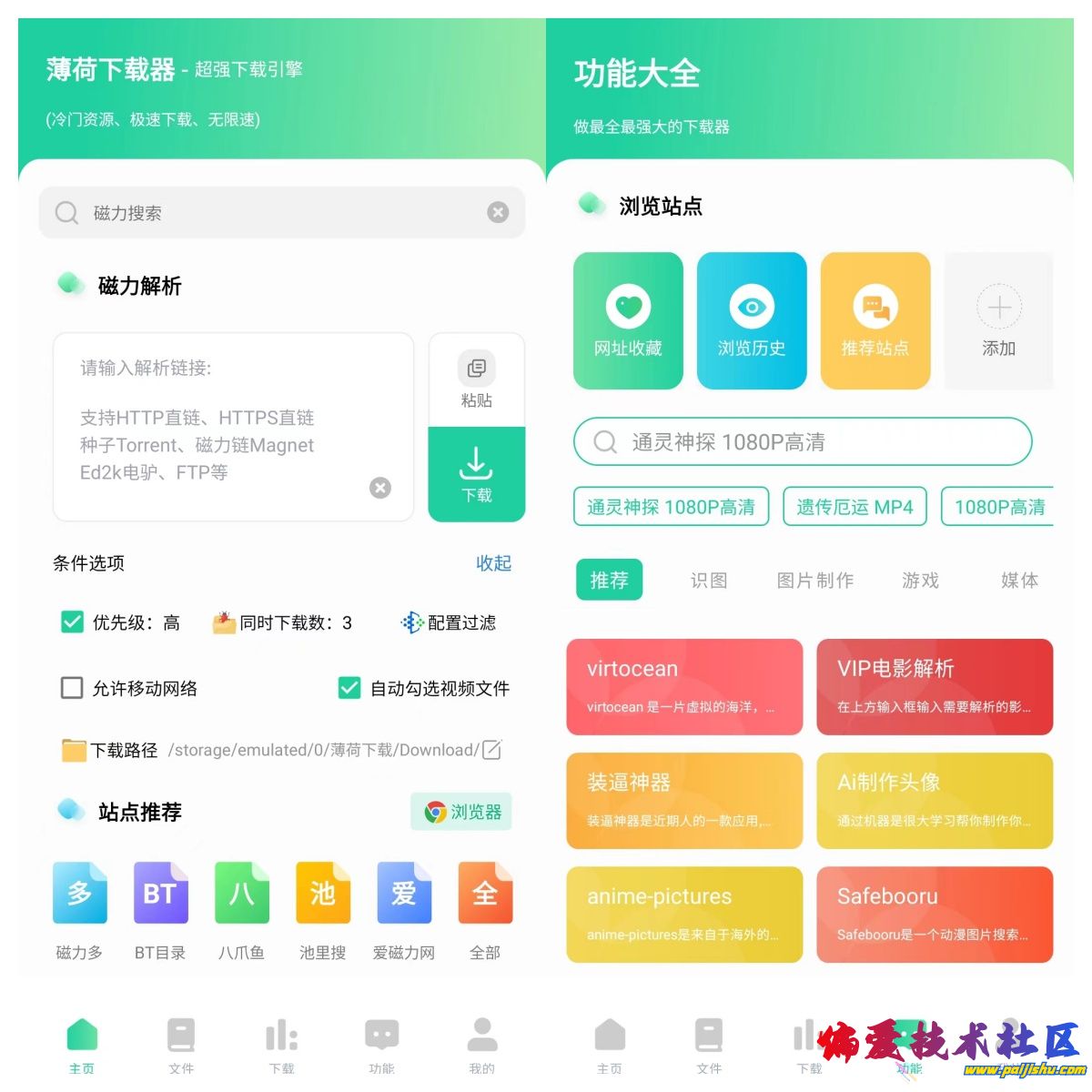 薄荷1.jpg