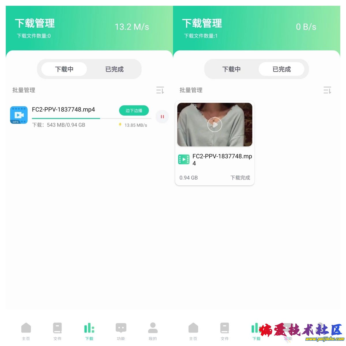 薄荷2.jpg