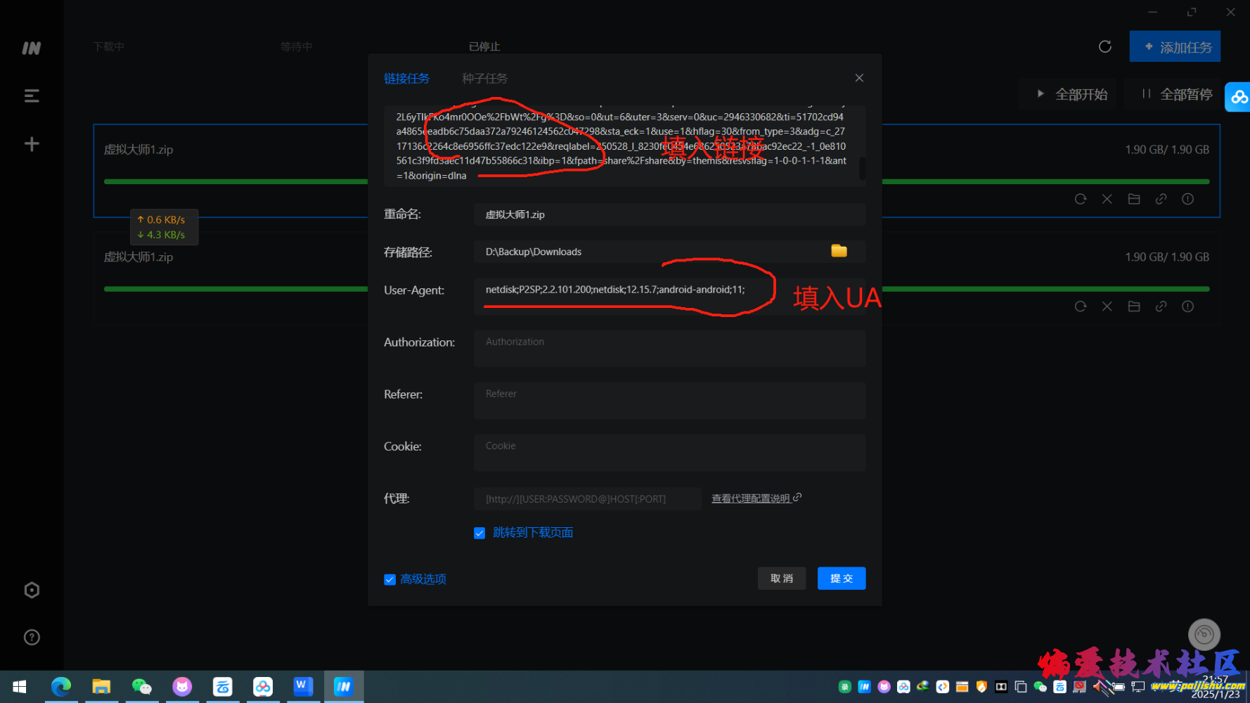 imgfdl (2).png