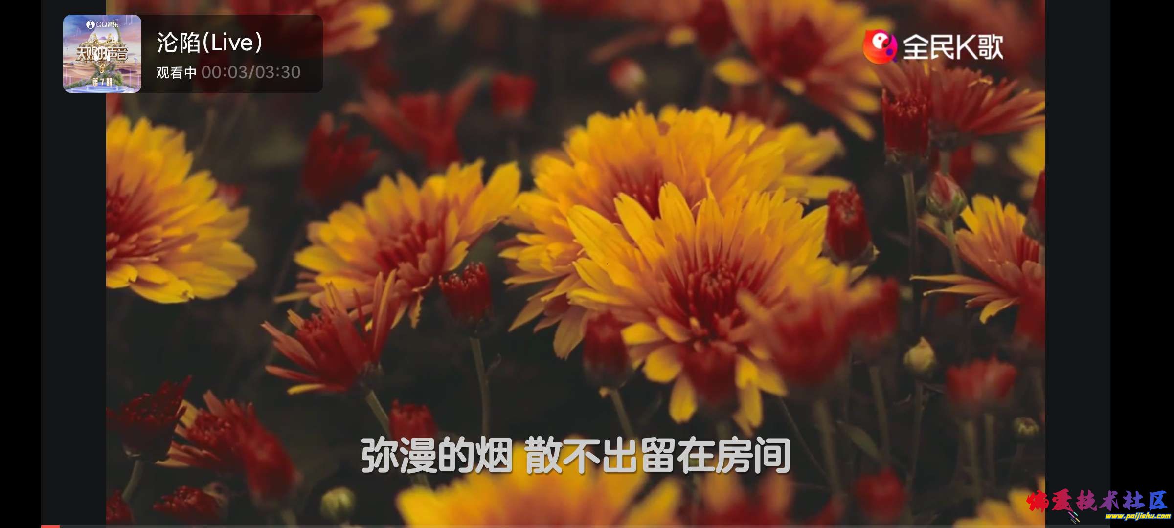 1000013520.jpg