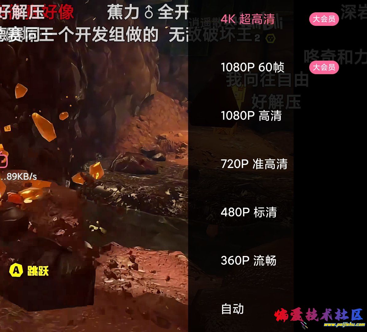 1000017167.jpg