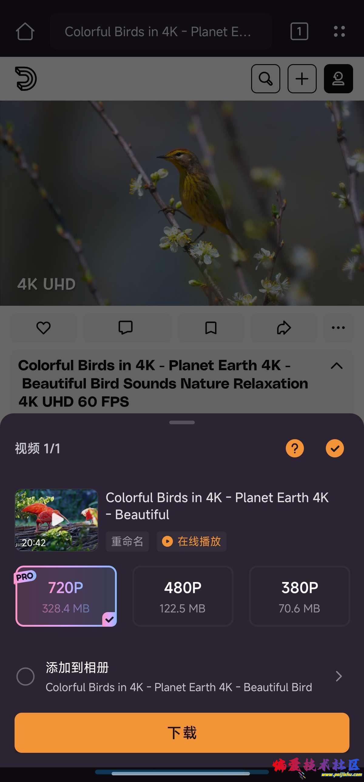 1000017249.jpg