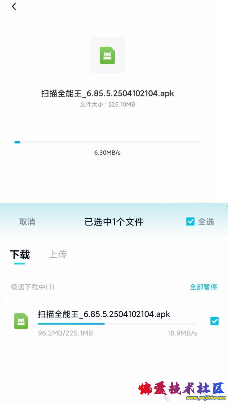 1000018525.jpg