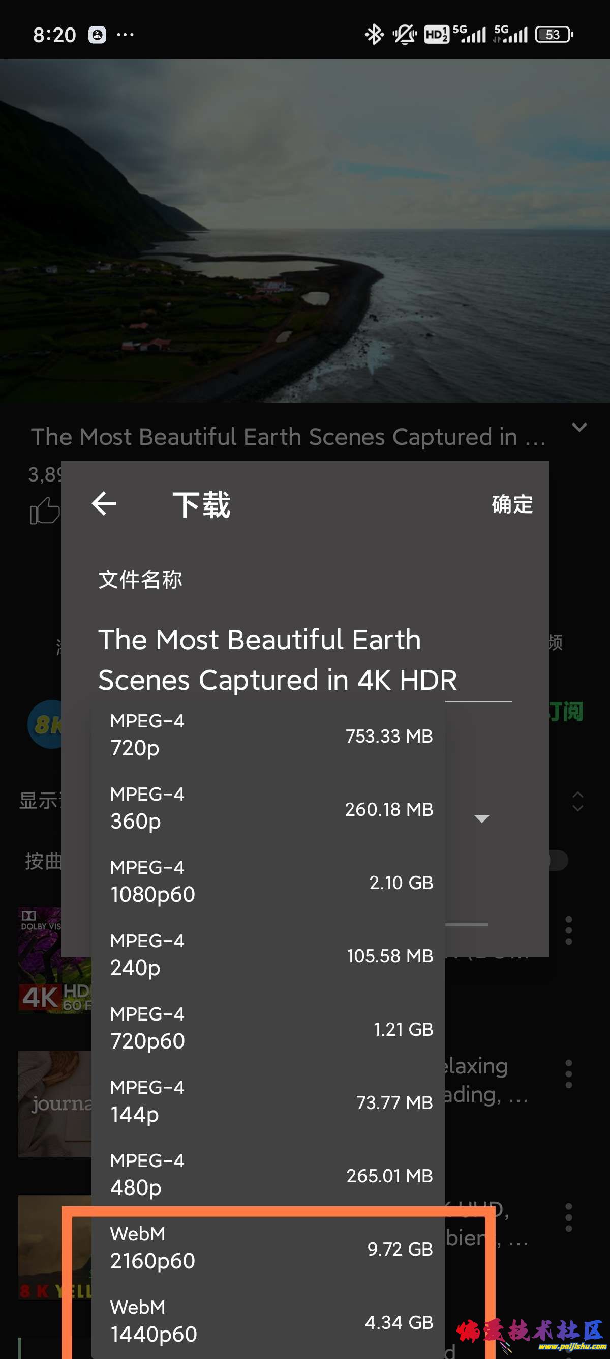 1000018701.jpg