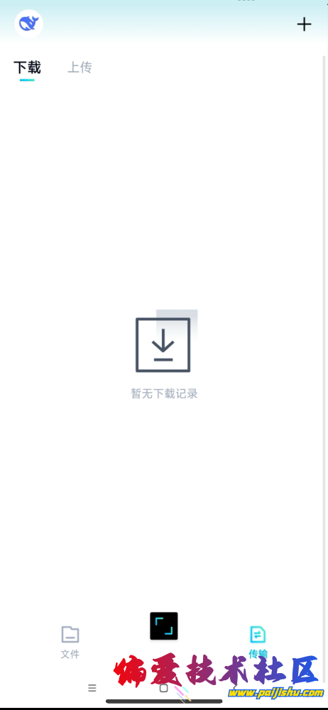 IMG_8454.png