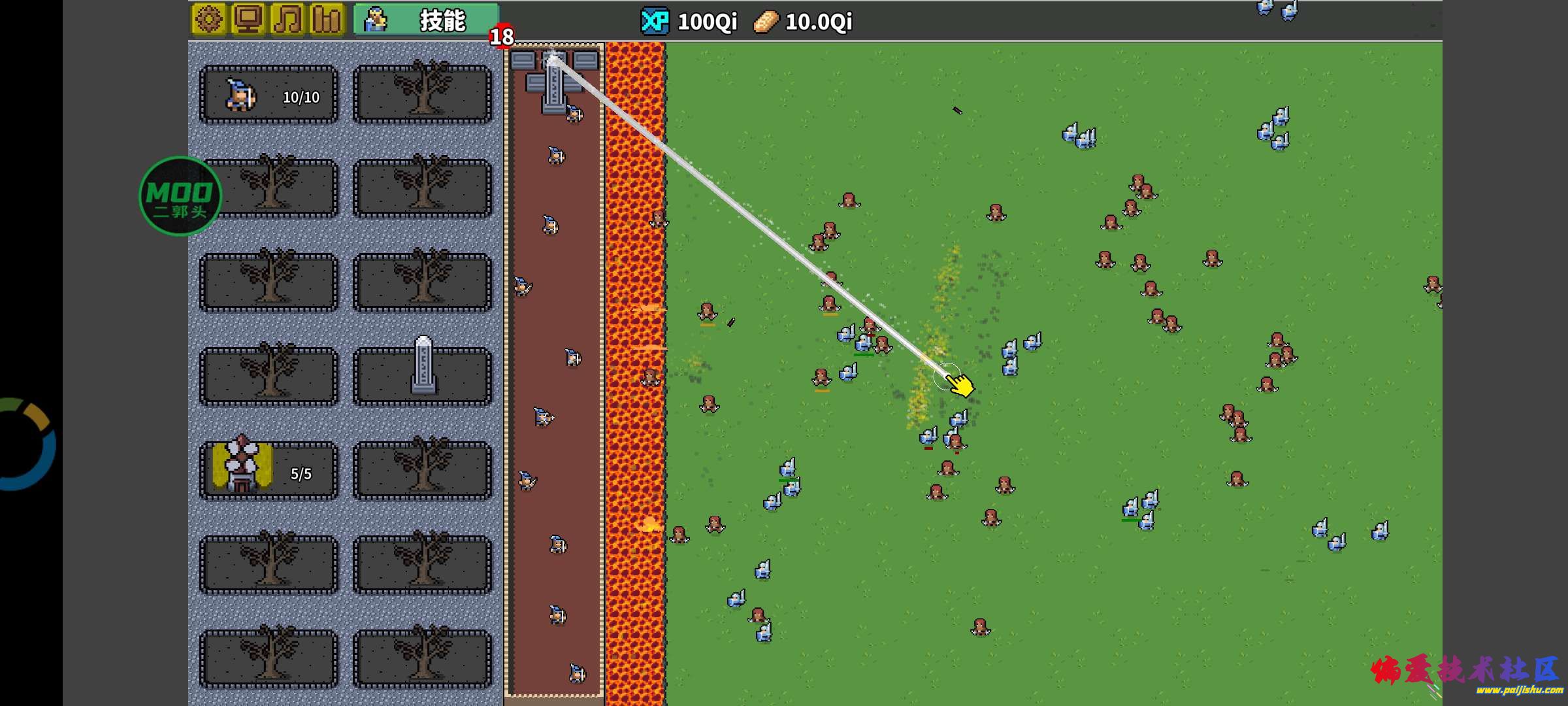 1000046524.jpg